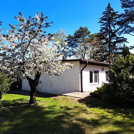 Mit Terrasse Mitten Im Gruenen Holiday home