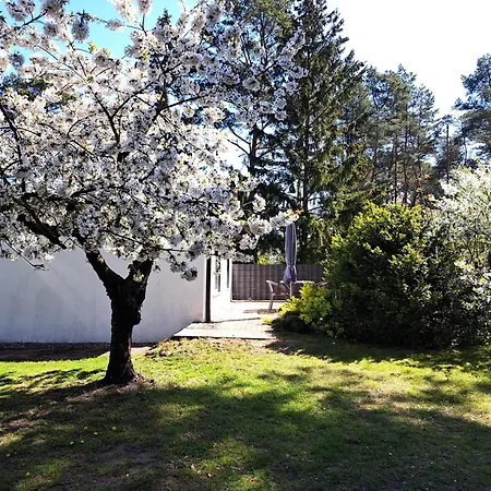 Mit Terrasse Mitten Im Gruenen *